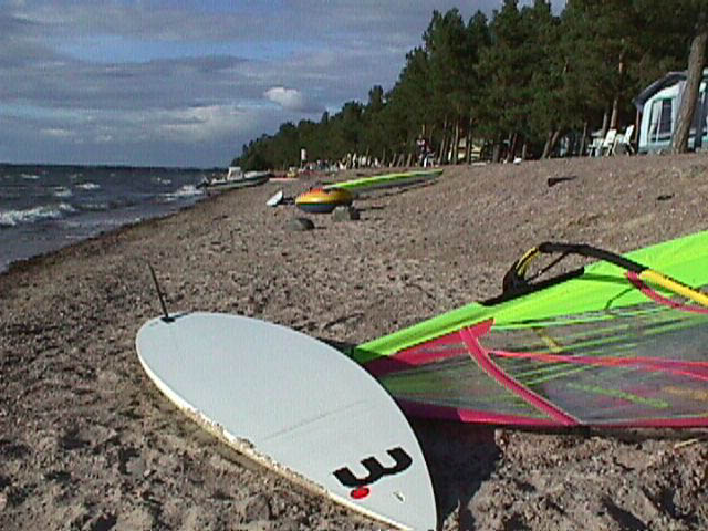 Purjelautailu